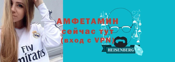 гидра Рославль